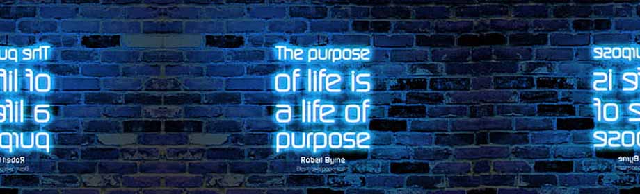 Does a soul purpose exist
