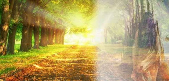 Our Spiritual Path